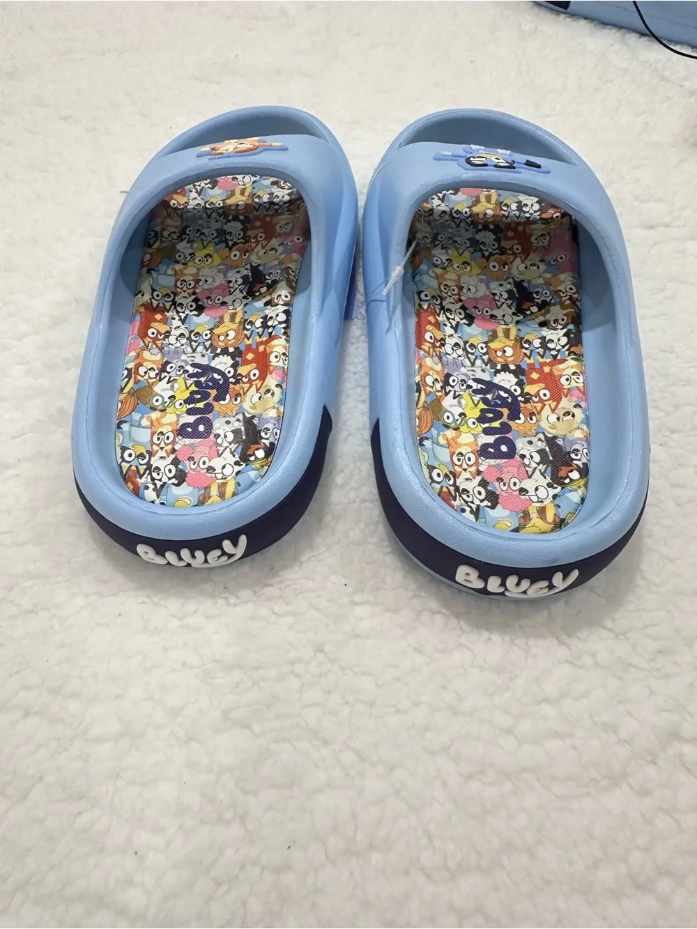 Kids Bluey Slide Sandals